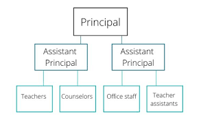 Management Structure  (Sample)
